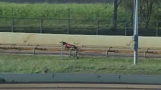 GEL TUE 23 JAN 24 ST2