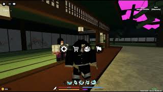 Trying to solo infinity castle in demonfall with beast breathing.