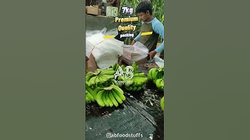 Banana export packing #abfoodstuffs #banana #farming #export #business #dubai #greenharvest #music