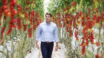 Intergrow Greenhouses | BRAND FILM