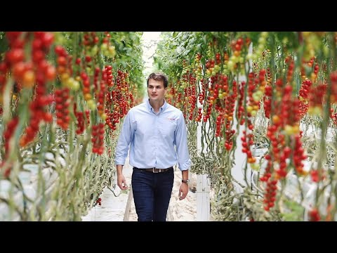 Intergrow Greenhouses | Brand Film film by Howell Studios