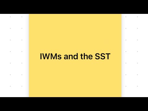 Internal Working Models