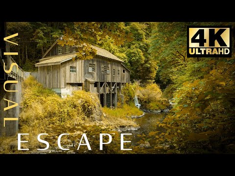 Enchanted Forest Water Mill – 7hrs of Nature Sounds for Meditation, Study or Sleep