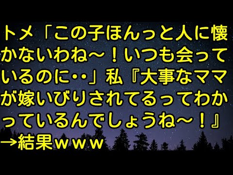 【スカッとする話】トメ「この子ほんっと人に懐かないわね～！いつも会っているのに・・」私『大事なママが嫁いびりされてるってわかっているんでしょうね～！』→結果ｗｗｗ　スカッとしようぜチャンネル
