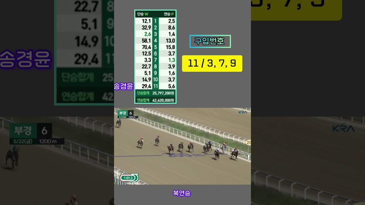 [경마] 경주전개 추리가 안 설때.