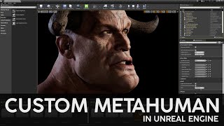 Metahuman Facial Rig Customization Tool (Metahuman Custom)