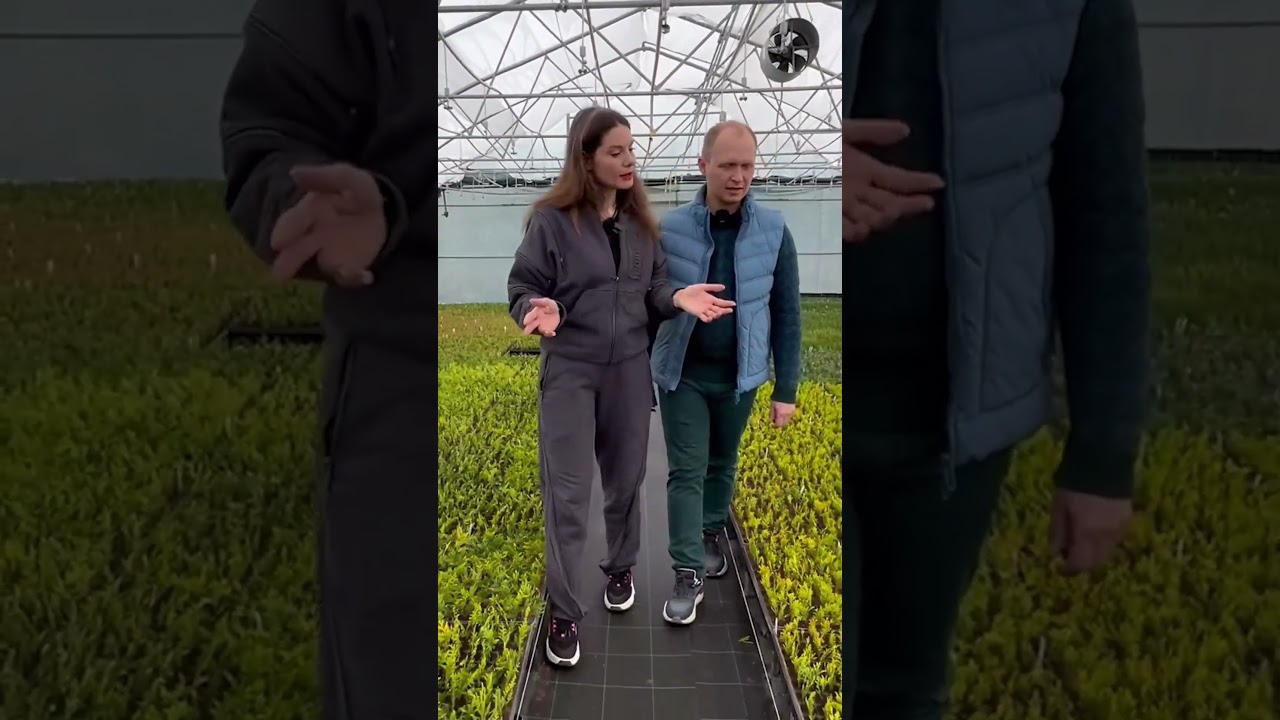 Вышел новый выпуск на канале «Maria Kordubaeva»