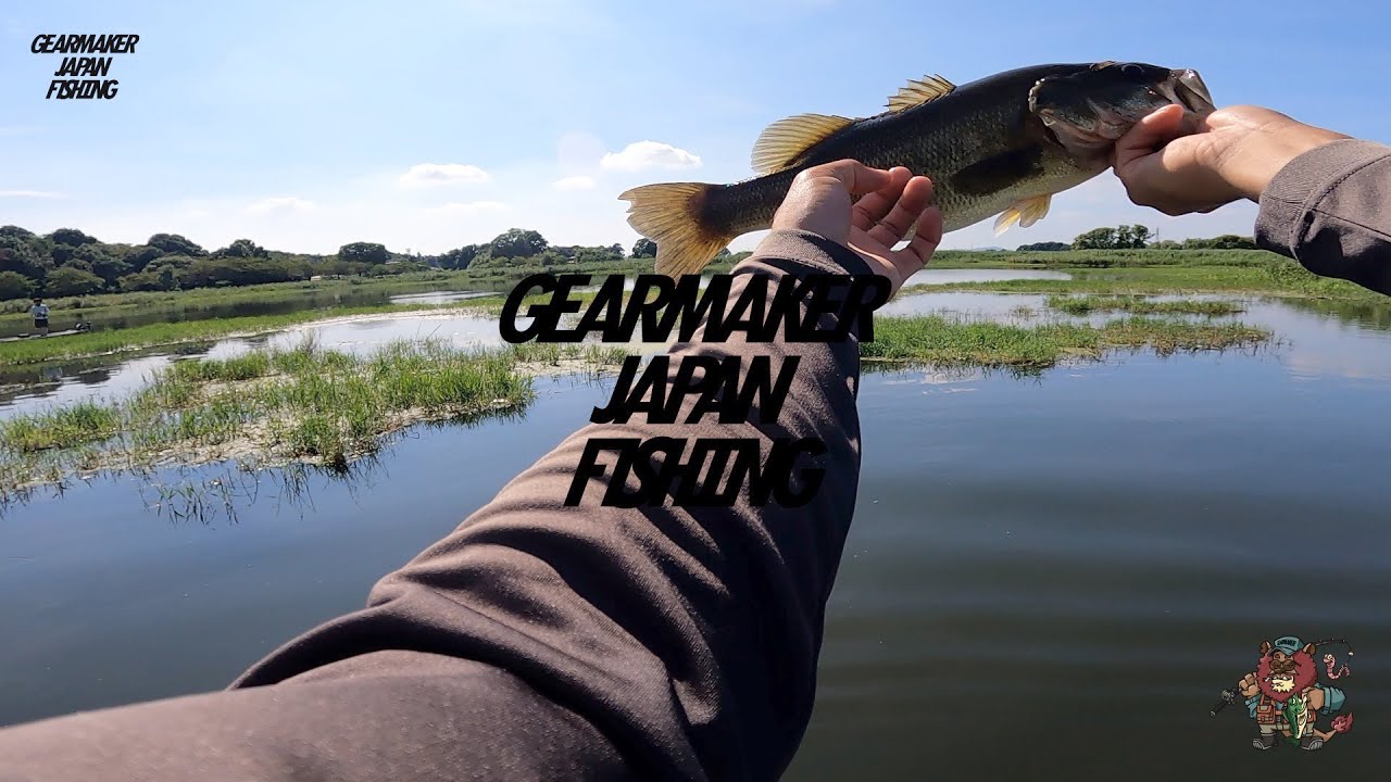 多々良沼】バス釣り 2025年8月中旬 #アーデント #F500 #オジーズ - YouTube