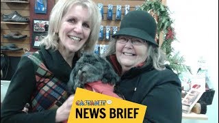 Stolen pup returns home