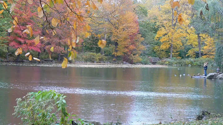 New York City, Central Park Fall 2008