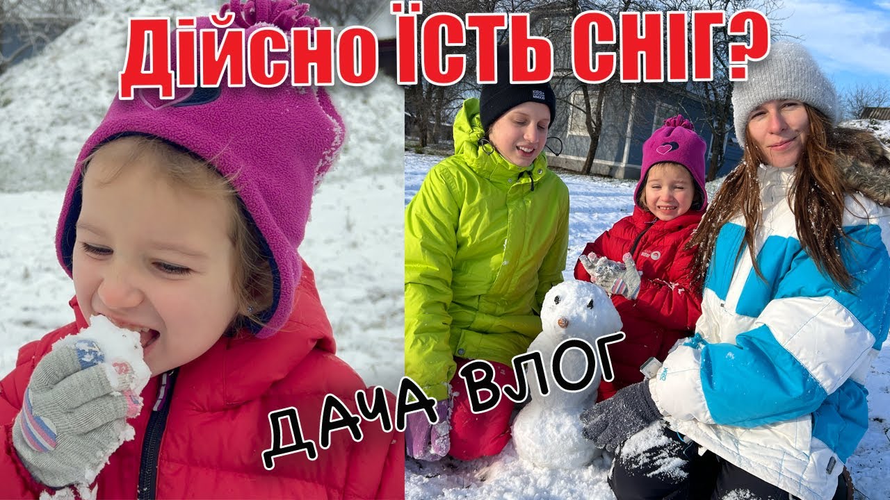 Влог: Перший сніг на дачі/вкриваємо ожину