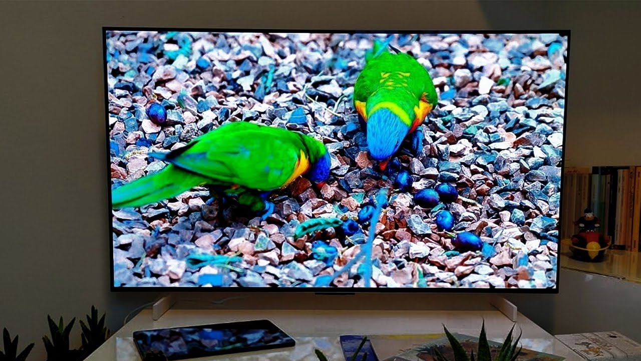 Best TV in ( 2023 ) 3 LG C2 Evo OLED YouTube