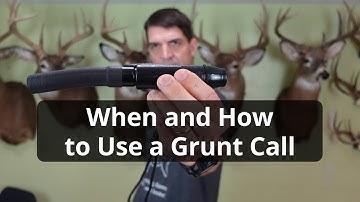 How and When to Use a Grunt Call
