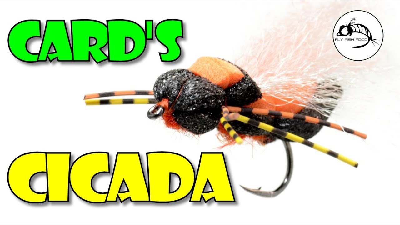 The Year of the Cicada