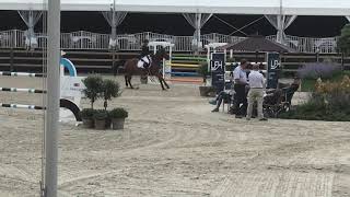 Imposante De Muze - 5Th Place 130 Csi Zandhoven