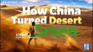 How China turned desert green How China turned desert green