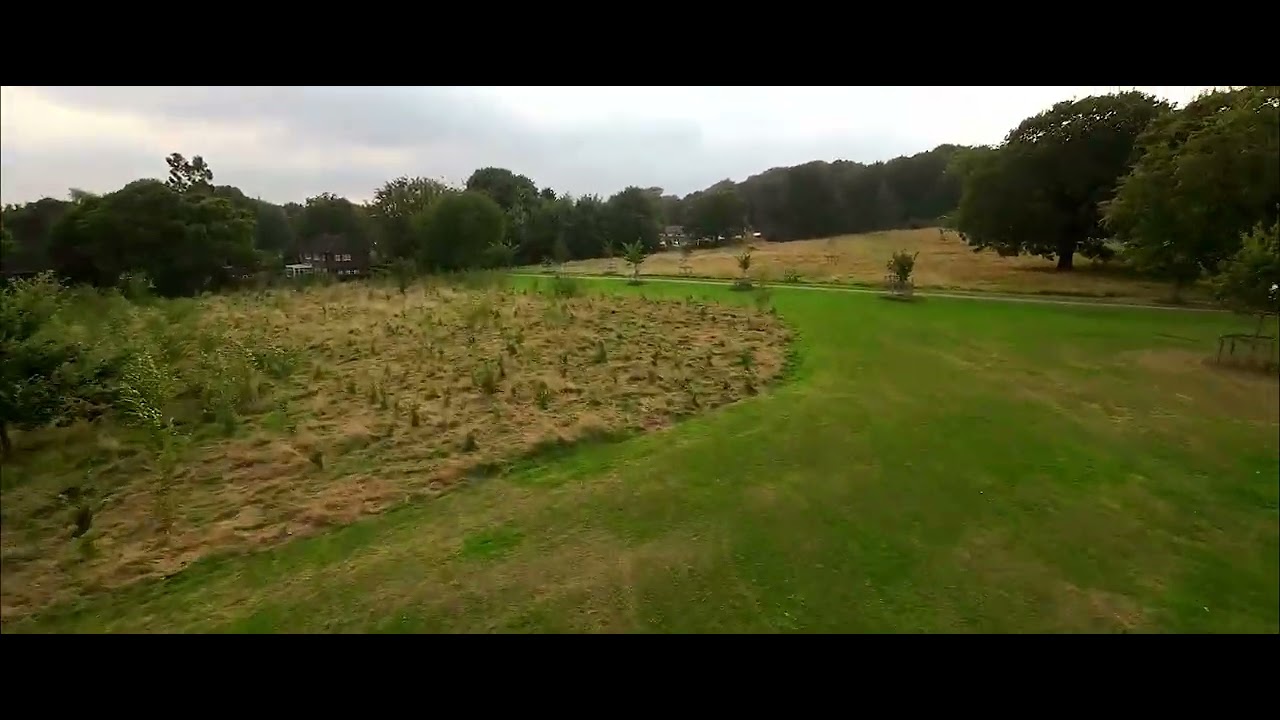 FPV Cine park cruise 