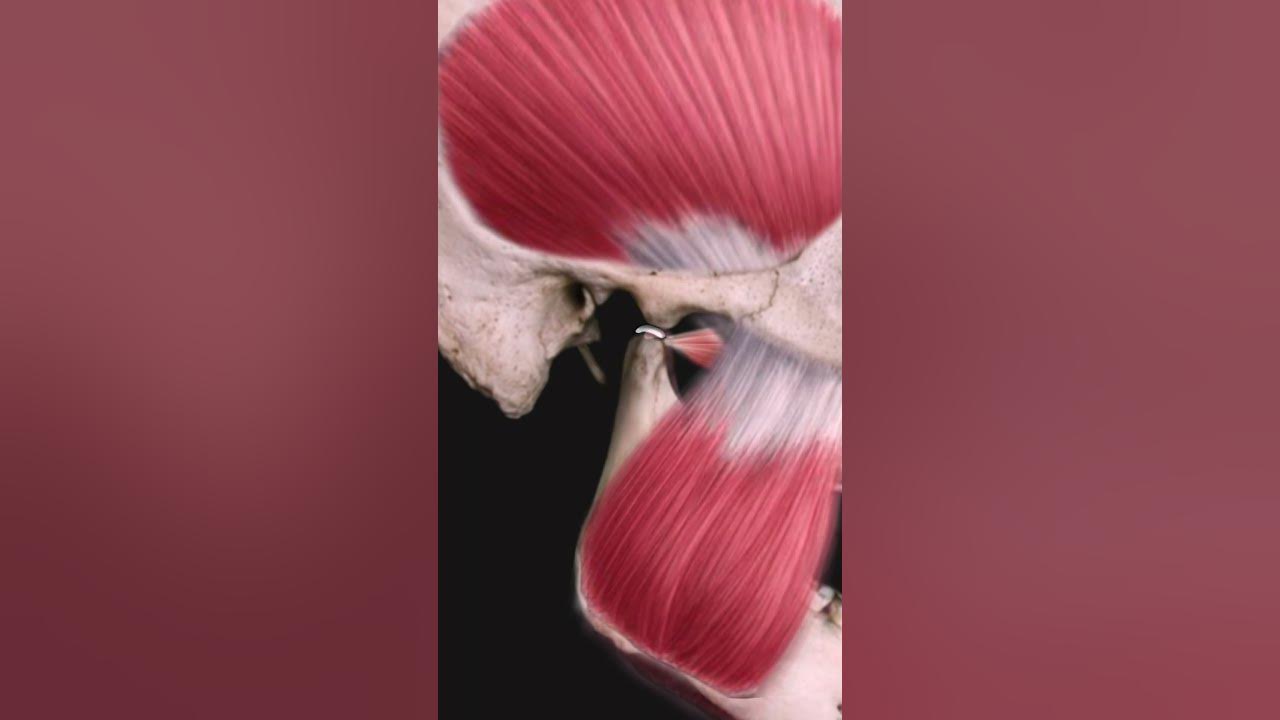 5 Common TMJ Disorders (Causing Ear Pain, Jaw Pain, Lockjaw, and/or