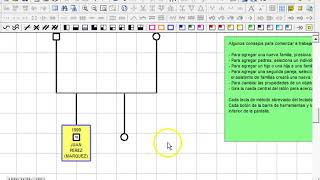 Cómo realizar un genograma