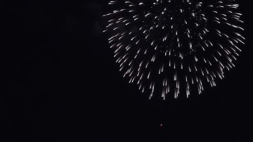 Fireworks Display  Download Free Footage