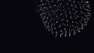Fireworks Display  Download Free Footage screenshot 4