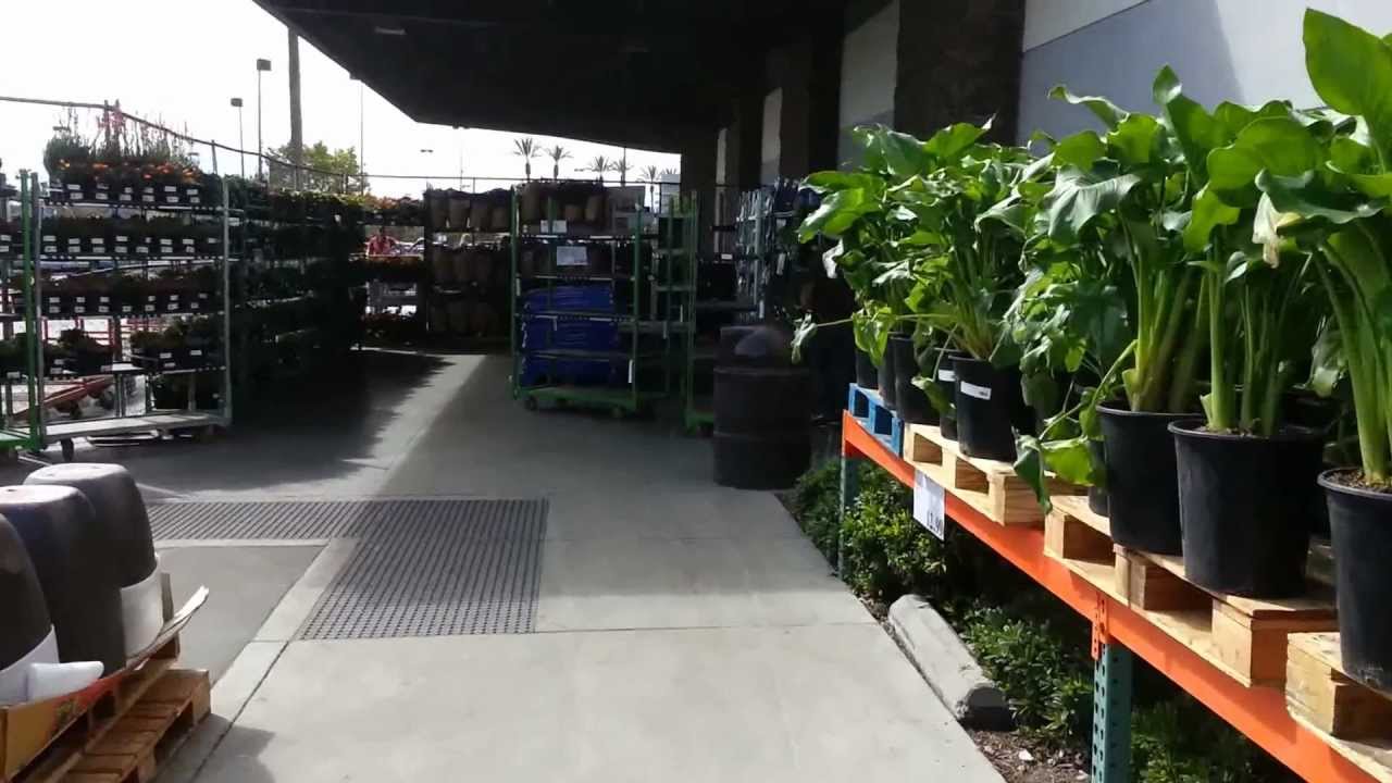 Costco Garden Center Youtube