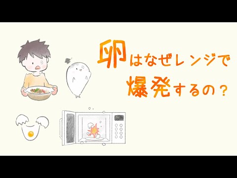 電子レンジの仕組みと卵が爆発する理由