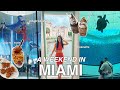 A weekend in miami  speaking spanish for 48hrs skydiving museums trying new foods  more