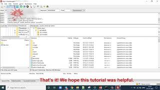 How to Access Cloudways Hosting File Manager/cPanel/hPanel with FileZilla
