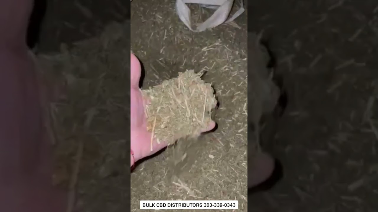 Bulk CBD Biomass, 500k lbs In Colorado Can Ship Nationally from Bulk CBD Distributors 303-339-0343