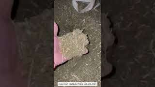 Bulk CBD Biomass, 500k lbs In Colorado Can Ship Nationally from Bulk CBD Distributors 303-339-0343