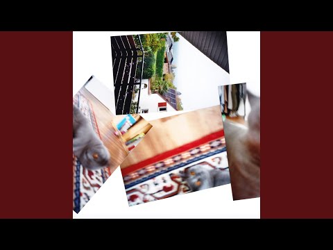 Watch dumb head on YouTube Watch dumb head on YouTube