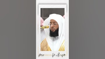 سورة الفيل _القاريء الشيخ بدر التركي حفظه الله ورعاه