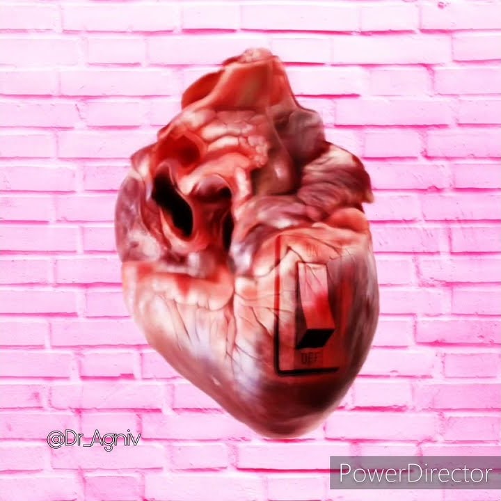 Stray Heart. ❤