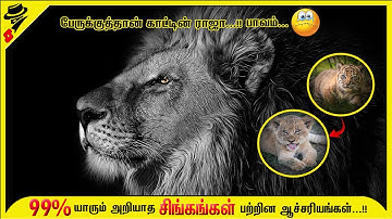 Interesting Facts about Lions | Animal_Facts #3 | 60sec Riddle | #Shorts