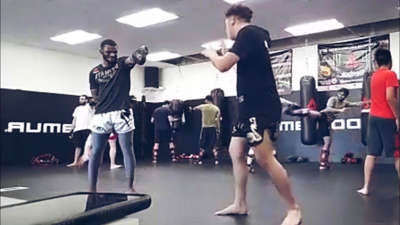 Spinning Heel Kick (2017) YouTube