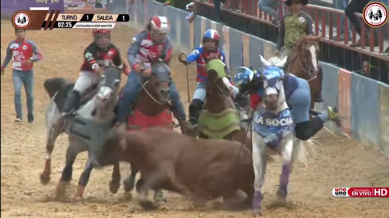 4 CAMPEONAS NACIONALES💪 ERIKA FIT, JEISKA MONTERO, DOANGELIS COLMENARES Y DANIELA CASTELLANOS🇻🇪