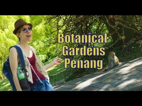 Video: Penerangan dan gambar Botanical Garden (Penang Botanic Gardens) - Malaysia: Pulau Penang