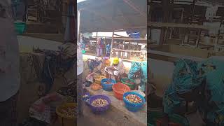 Bitter Kola And Kolanut Market In Lagos #PullUpYoShorts #kolanutbusiness #DiscoverMyAfrica #short