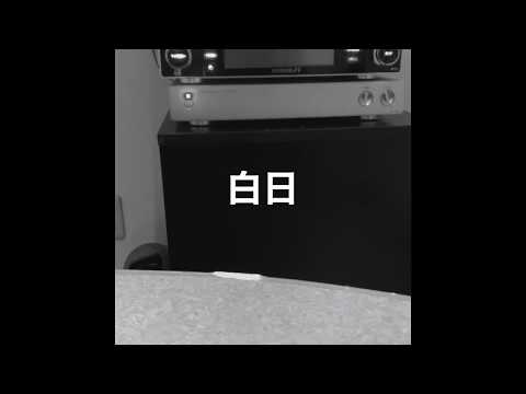 白日　king gnu  カラオケカバー