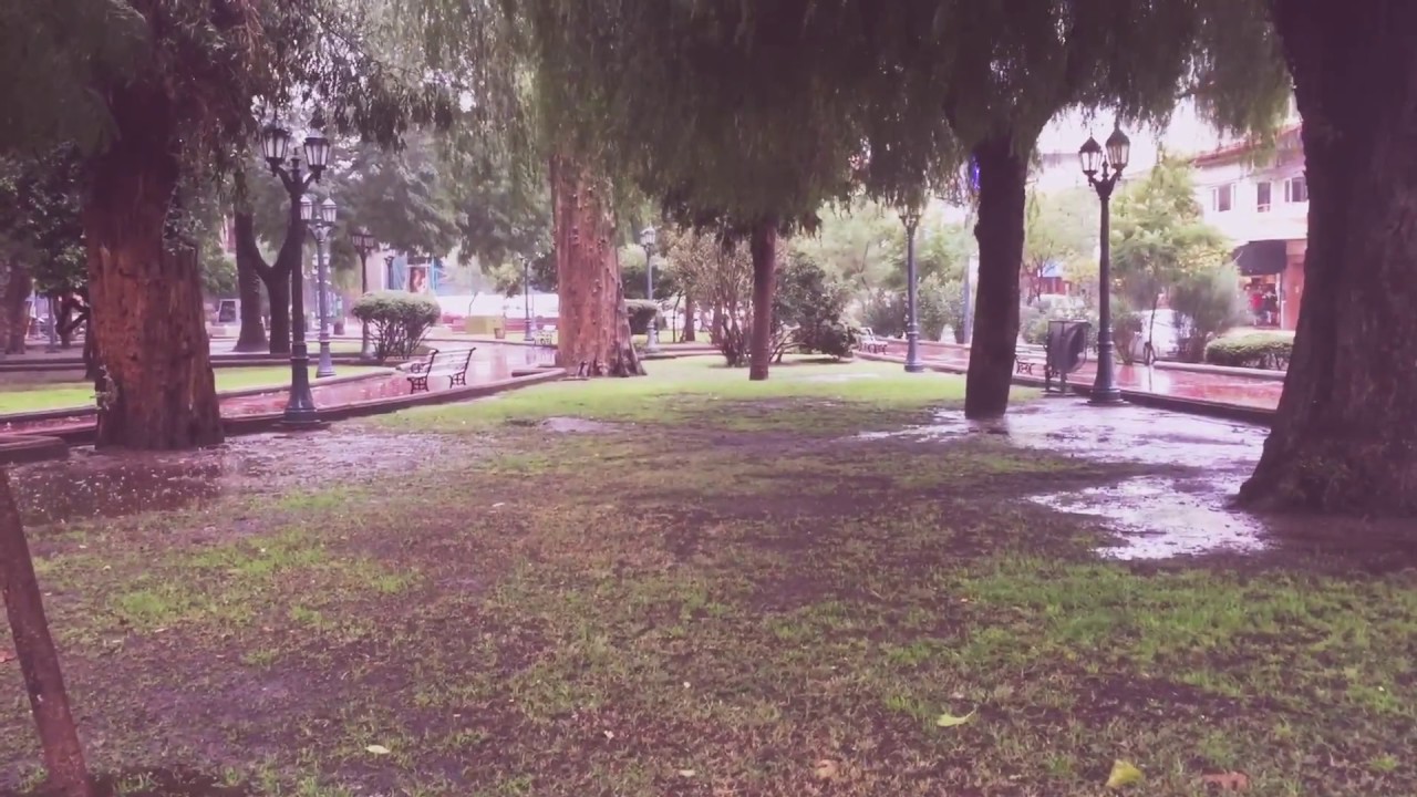 Temporal en San Luis camera iphone 8 plus apk
