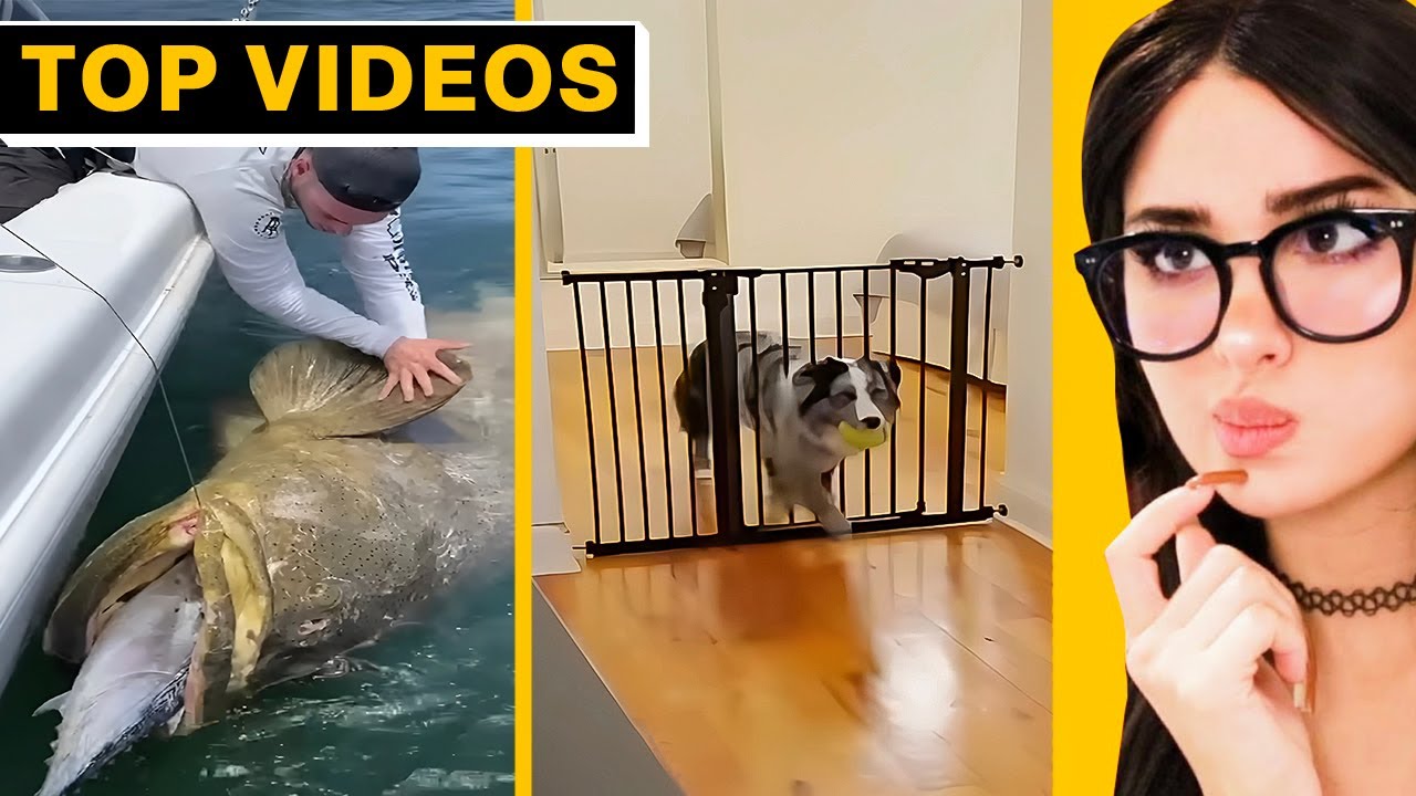 TikToks That Will Make You Second‑Guess Everything SSSniperWolf YouTube