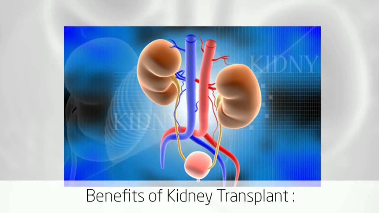 Top Renal Transplant Surgery in India Kidney Transplant in Bangalore YouTube