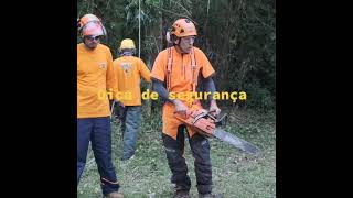 Dica Segurança Motoserra