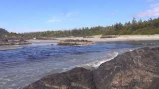 Tofino: Vargas Island Camping - Overview