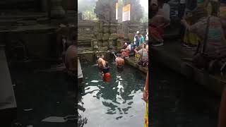 Tirta Empul Bali,Banyak Bule-Bule Mandi