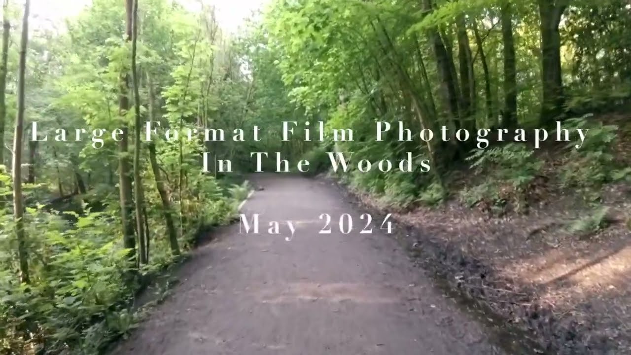 Large Format in the Woods | Delta 100 on my Intrepid 4x5