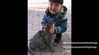 Erol Özdamar / Deryada Bir Balık