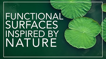 Better Surfaces Through Nature (and Lasers!): Using Nano Textures to Create Functional Surfaces