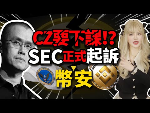 SEC正式起訴幣安和創始人CZ，大盤直接跳水，幣安資金淨流出達21億美元！我們散戶的錢該何去何從？│加密大漂亮2023 #比特幣